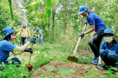 Trách nhiệm trồng rừng không của riêng ai