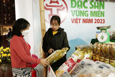 Khai mạc hội chợ đặc sản vùng miền Việt Nam 2023