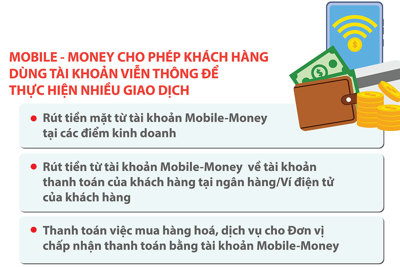 Gia hạn thí điểm Mobile Money đến hết năm 2024