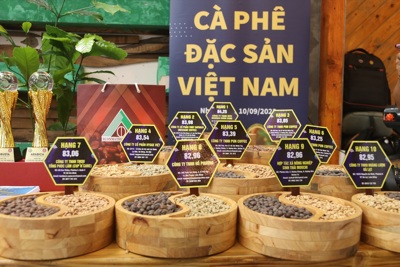 Giá cà phê hôm nay 1/12: Đồng loạt tăng mạnh, Robusta thêm gần trăm USD/tấn