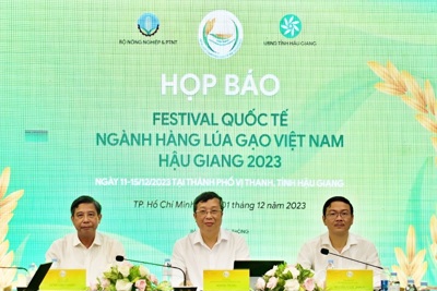 Hơn 200 khách quốc tế tham dự Festival quốc tế ngành hàng lúa gạo Việt Nam