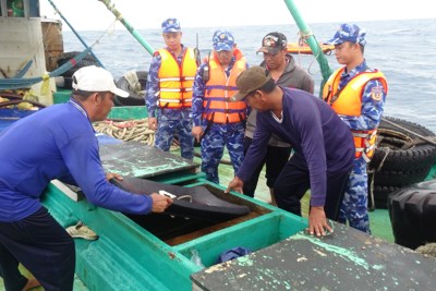 Cảnh sát biển 4 bắt tàu vận chuyển 130.000 lít dầu D.O không rõ nguồn gốc