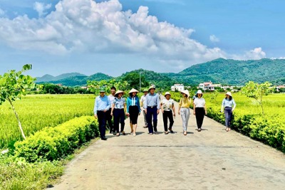 Huyện Sóc Sơn: Bước tiến trong xây dựng nông thôn mới