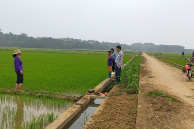 Nông thôn mới – điểm nhấn của Sơn Tây sau 15 năm về Hà Nội