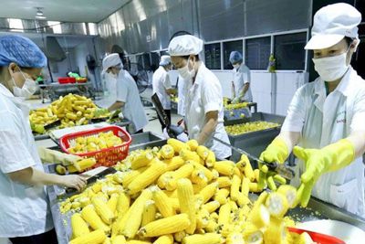 Hoa Kỳ tiêu thụ nông sản Việt nhiều nhất trong 2 tháng đầu năm 2024