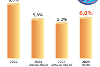 ADB dự báo kinh tế Việt Nam tăng trưởng ở mức 6% năm 2024