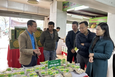 Hà Nội: Giới thiệu quảng bá, tiêu thụ hàng trăm sản phẩm nông nghiệp an toàn