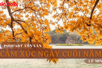 Podcast Tản văn: Cảm xúc ngày cuối năm