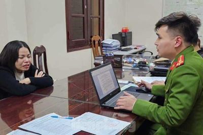 Lạng Sơn: Khởi tố đối tượng  trốn thuế trên 8,2 tỷ đồng