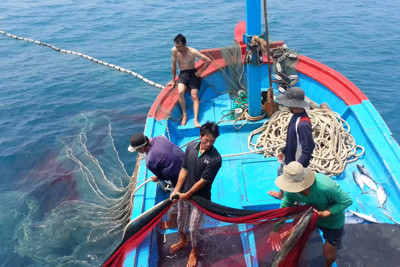 Mở đợt cao điểm về chống khai thác hải sản bất hợp pháp