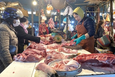 Hà Tĩnh: Khống chế dịch tả lợn châu Phi, tạo nguồn cung thịt dịp tết