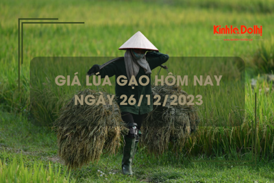 Giá lúa gạo hôm nay 26/12/2023: Đồng loạt đi ngang 