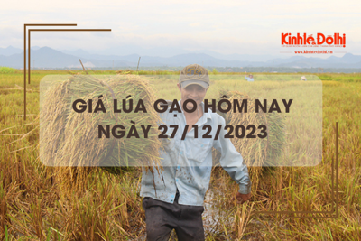 Giá lúa gạo hôm nay 27/12/2023: Duy trì đà đi ngang 