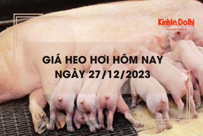 Giá heo hơi hôm nay 27/12/2023: Không có biến động