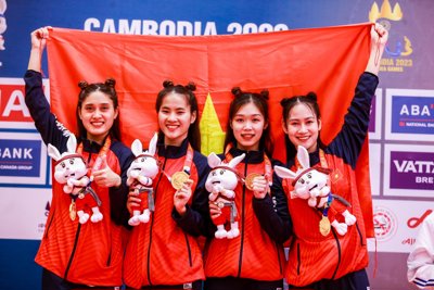 Thể thao Việt Nam: Khát vọng chinh phục đấu trường châu lục