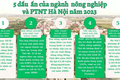 5 dấu ấn của ngành nông nghiệp và PTNT Hà Nội năm 2023