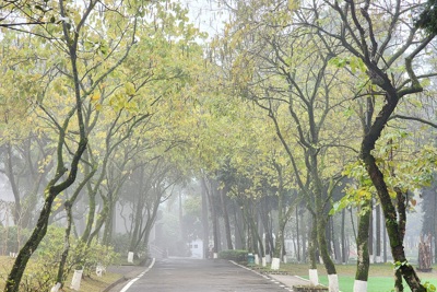 Điểm săn sương rất chill và kỳ thú ở ngoại thành Hà Nội