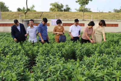 Khuyến nông Hà Nội lan tỏa sản xuất xanh, bền vững