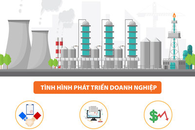 Năm 2023, số doanh nghiệp thành lập mới đạt kỷ lục