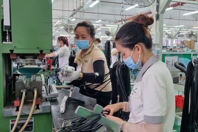 Quảng Ngãi: Doanh nghiệp có vốn đầu tư nước ngoài thưởng Tết cao nhất 