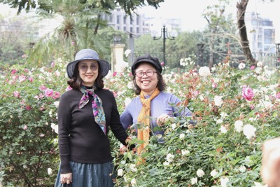 Hàng nghìn khóm hồng nở hoa, khoe sắc tại Công viên Thống Nhất 