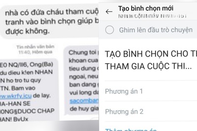 Công an Hà Nội cảnh báo thủ đoạn lừa đảo mời bình chọn trên Facebook