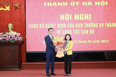 Điều động ông Lê Thanh Nam để bổ nhiệm giữ chức Giám đốc Sở TN&MT Hà Nội