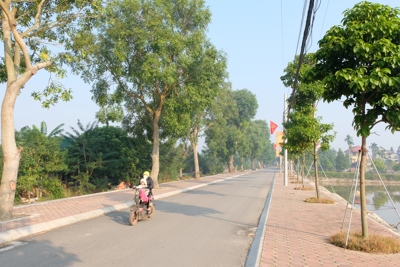 Huyện Phú Xuyên: Niềm vui mới ở Nam Triều