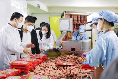 Kiểm tra an toàn thực phẩm phục vụ Tết tại huyện Thanh Oai