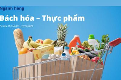 Ngành hàng Bách hóa – Thực phẩm: Cơ hội và thách thức trên sàn TMĐT