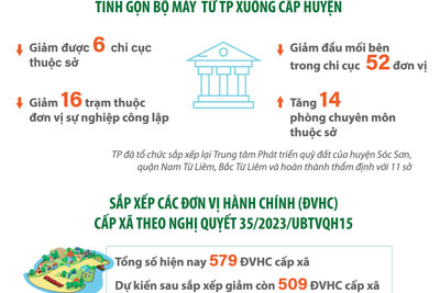 Những con số ấn tượng từ cải cách tổ chức bộ máy, công vụ