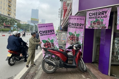 Cầu Giấy: Tổng lực đảm bảo nhu cầu đi lại của người dân dịp cuối năm