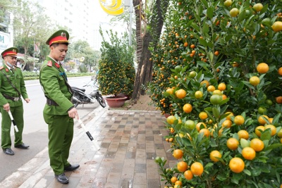 Tây Hồ: Đảm bảo an ninh trật tự tại các khu chợ hoa