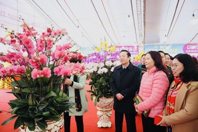 Quận Nam Từ Liêm, khai mạc chợ hoa Xuân Tết Giáp Thìn 2024
