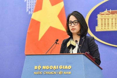 Bộ Ngoại giao lên tiếng về thông tin Trung Quốc điều tàu vào bãi Tư Chính