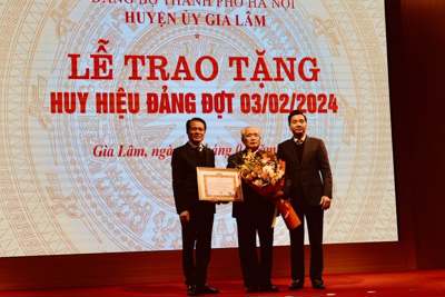 Huyện Gia Lâm: Trao tặng Huy hiệu Đảng cho 199 đảng viên