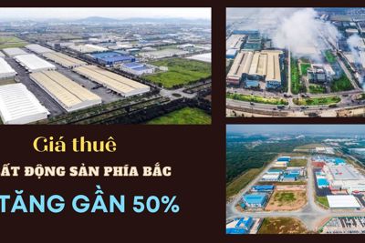 Giá thuê bất động sản phía Bắc tăng gần 50%