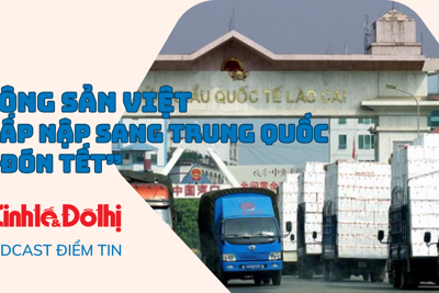 Nông sản Việt tấp nập sang Trung Quốc “đón Tết”