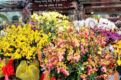 TP Hồ Chí Minh: Hoa Tết bày bán rực rỡ các tuyến đường, sức mua thấp