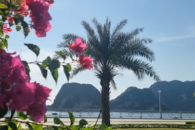 Quảng Ninh: Sẽ kích cầu du lịch ngay từ những ngày đầu năm mới