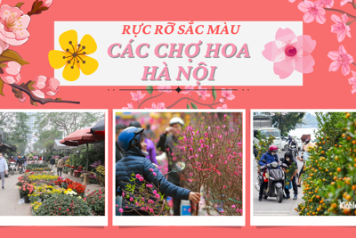 Đường phố Hà Nội rực rỡ sắc hoa đón Tết