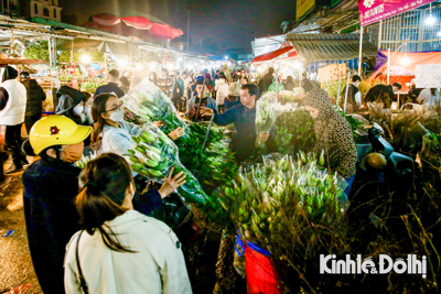 Khung cảnh nhộn nhịp tại chợ Hoa lớn nhất Thủ đô dịp cận Tết