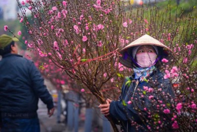 Dự báo thời tiết ngày 7/2/2024: Hà Nội mưa phùn, sương mù, đêm trời lạnh