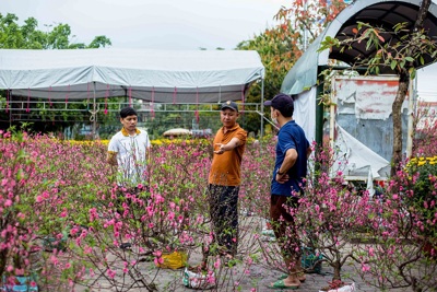 Quảng Bình: Chợ hoa Tết tấp nập những ngày cuối năm
