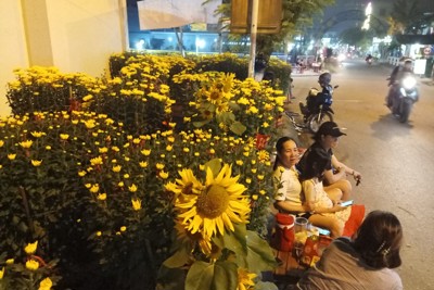 Đà Nẵng: Chợ hoa cận Tết sức mua giảm, tiểu thương lo lắng