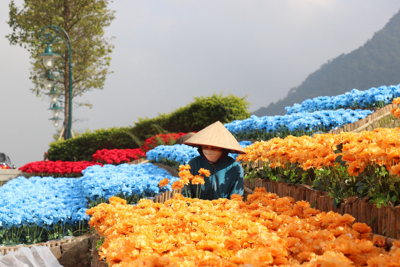 Bắc Giang: Nhiều điểm du lịch trang hoàng rực rỡ đón khách
