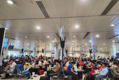 Bất ngờ với lượng khách qua sân bay Tân Sơn Nhất ngày đầu năm mới