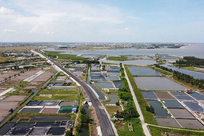 Nam Định: Tuyến đường bộ ven biển dài 65km tạo cú hích phát triển kinh tế