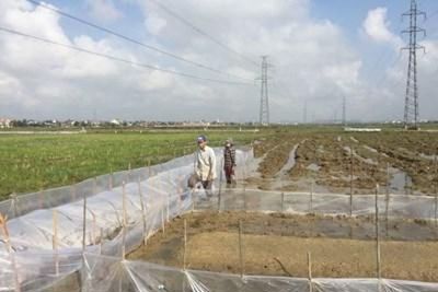 Bắc Giang: Đẩy nhanh tiến độ cấp Giấy chứng nhận quyền sử dụng đất 