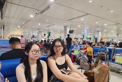 Từ ngày 15 - 19/2, nhiều chặng bay đến TP Hồ Chí Minh "cháy" vé
